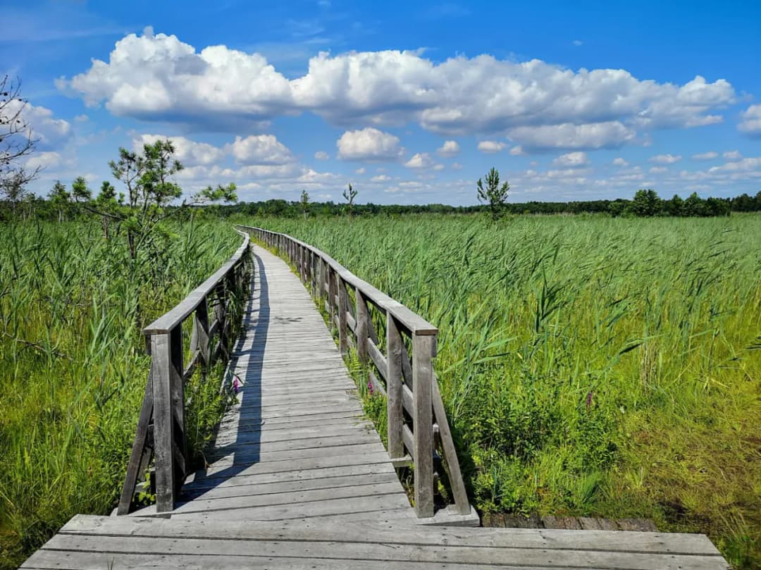 Niezapomniane atrakcje w Polesiu Lubelskim, które musisz zobaczyć
